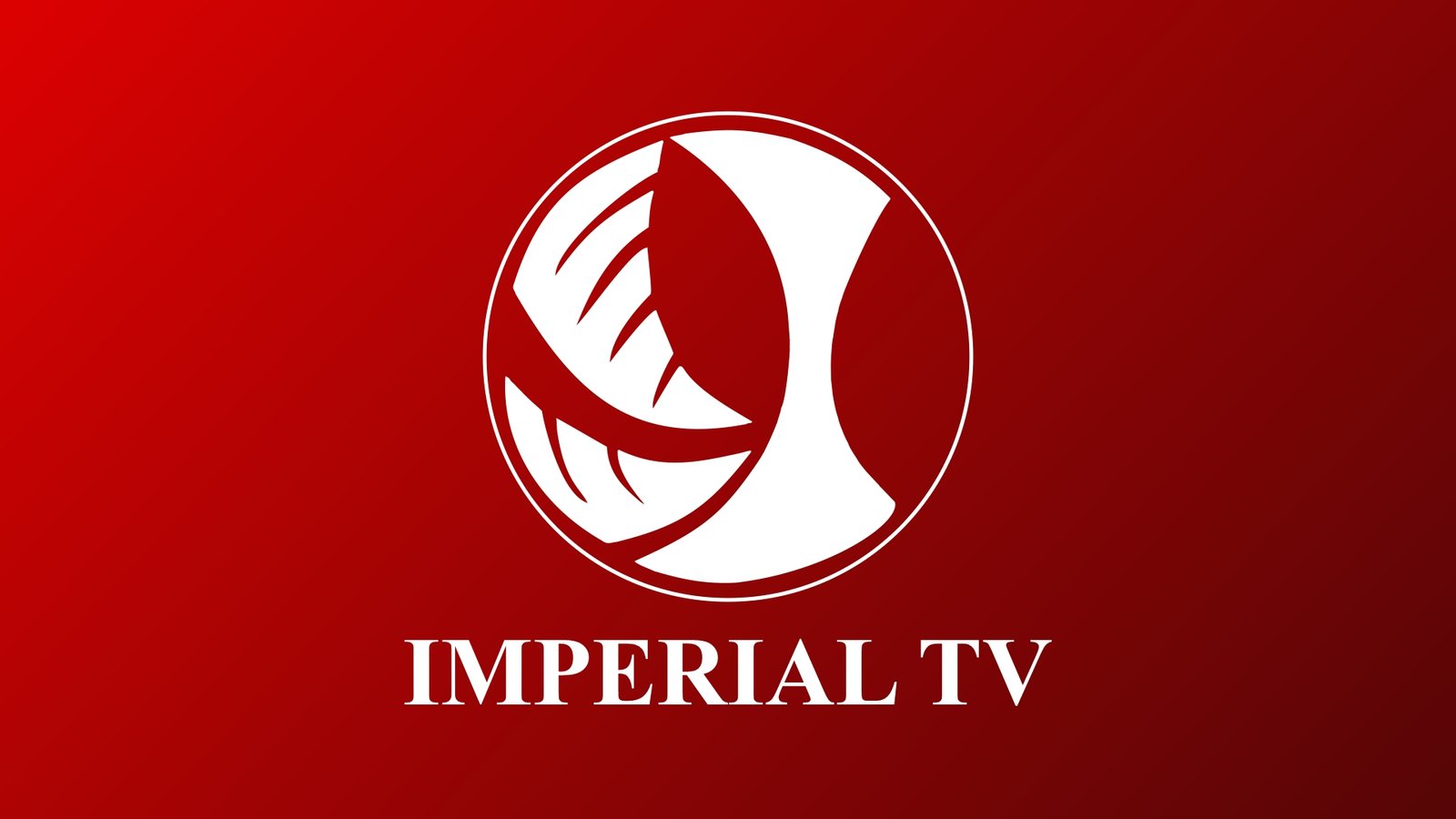 IMPERIAL TV - 317